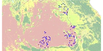 Weather Shocks, Recall Error and Health: Evidence from rural Thailand